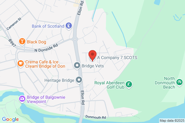 Earl Haig Fund