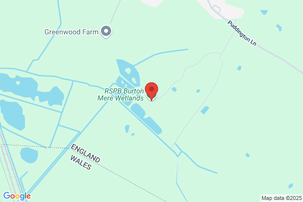 Burton - CLOSED