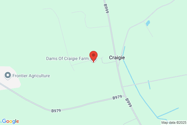 Dams Of Craigie Farm Ltd