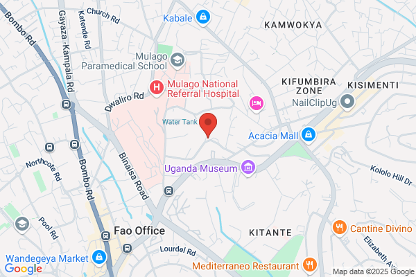Uganda Society For Disabled Children