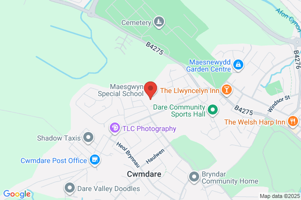 Maesgwyn Special School