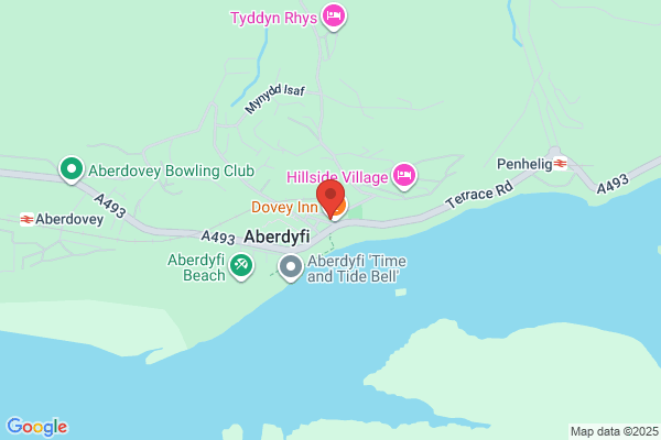 Bryn Meddyg