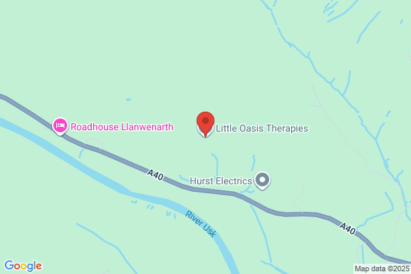 Little Oasis Therapies