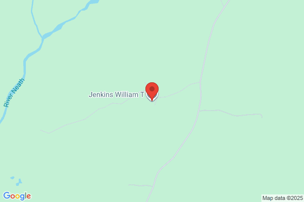 W J Jenkins