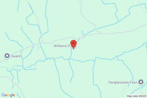 D Williams