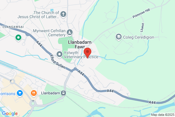 Cwmpadarn County Primary School