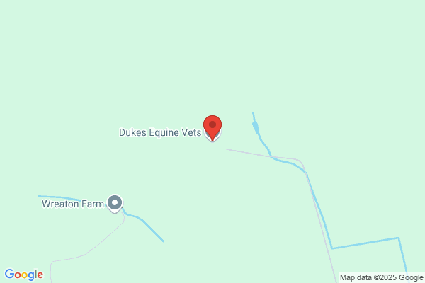 Dukes