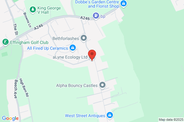 Alana Ecology Ltd