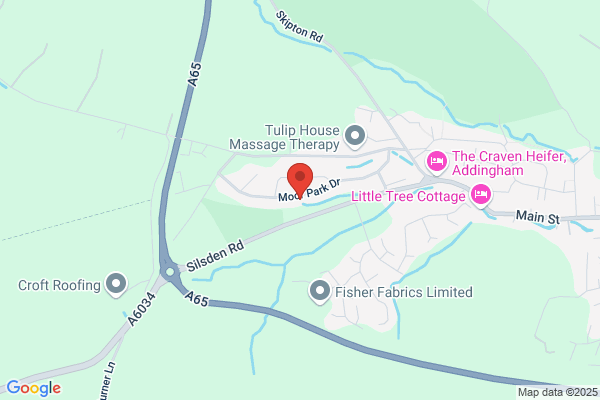 A Binns & Co Tree Surgeons