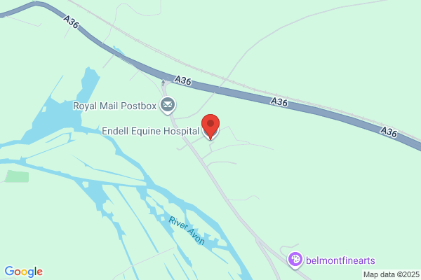 Endell Equine Hospital