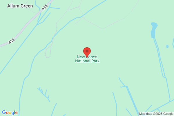 New Forest Electronics