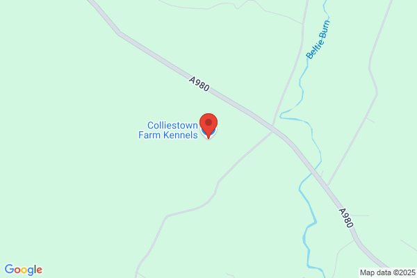 Corrievern Kennels