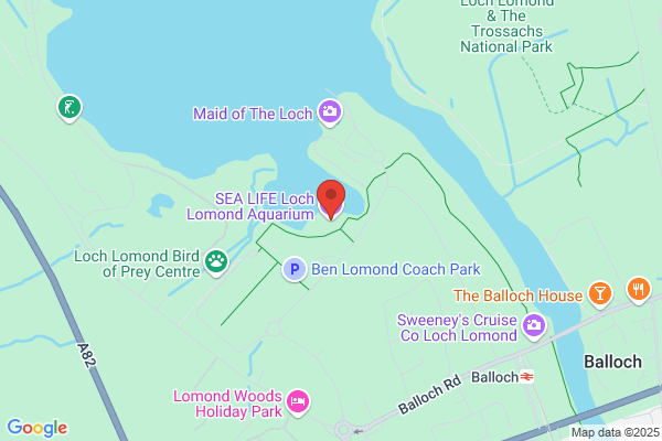 Experience Loch Lommond