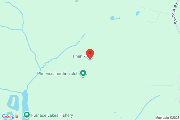 Find Your Phoenix