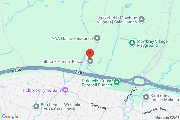 Horsham Removals