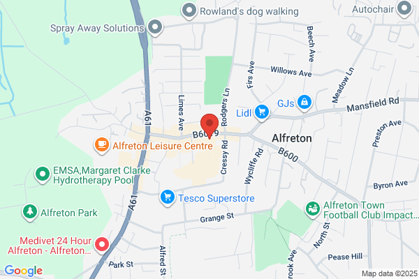 Alfreton Motor Co