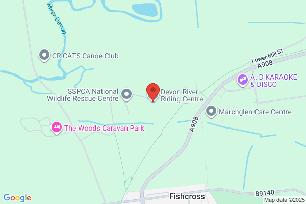 Devon Equestrian Centre