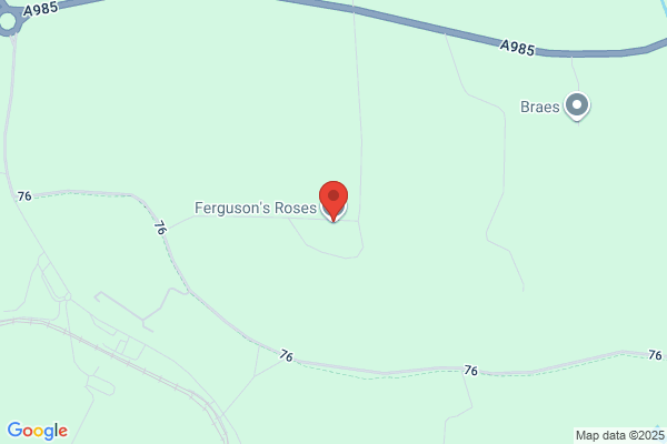 R C Ferguson