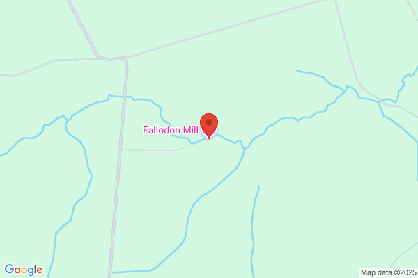 Beechwood Fallodon Sawmill