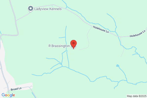 R Brassington