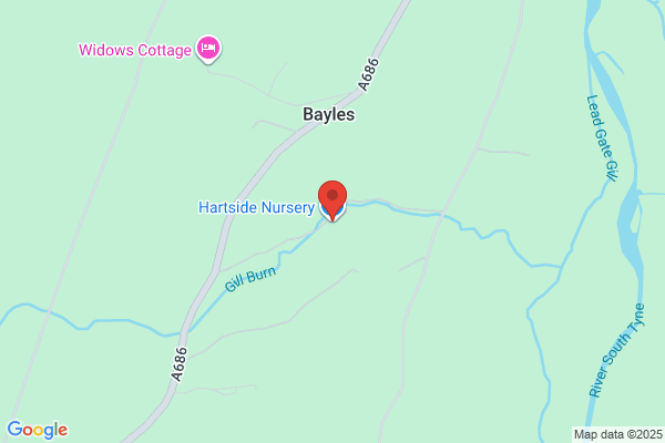 Hartside Nursery