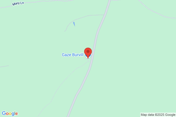 Gaze Burvill