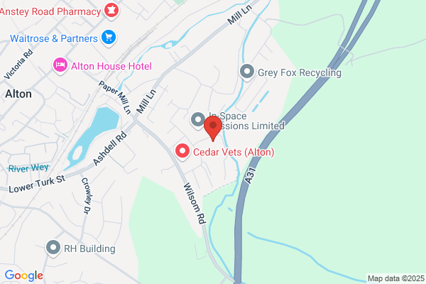 Charlie Brown Tyre and Auto Centre