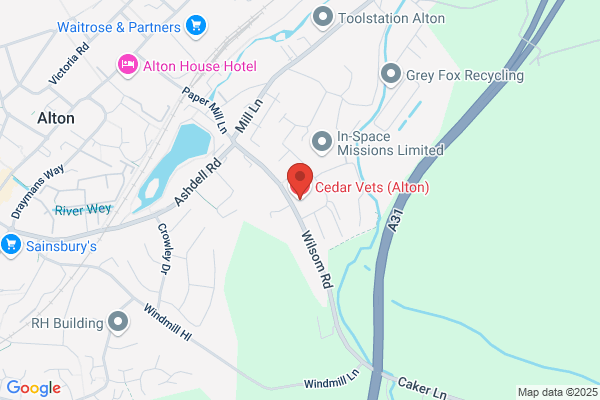 Cedar Veterinary Group