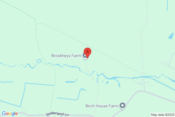 Brook Heys Farm Cattery
