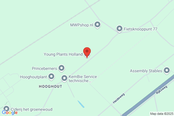 Young Plants Ltd