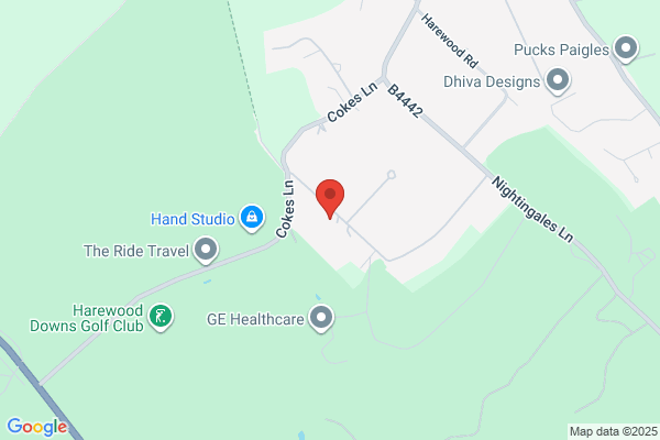 Buckinghamshire Dog Walkers