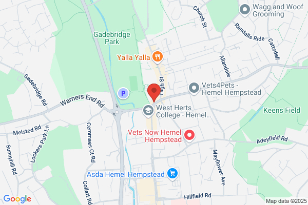 NLP4Kids Child Therapy Amesbury