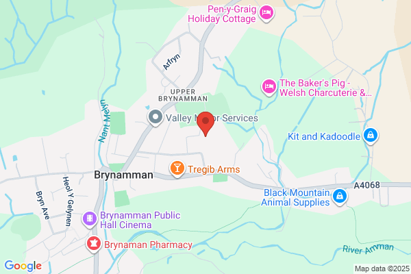 Brynamman C P School