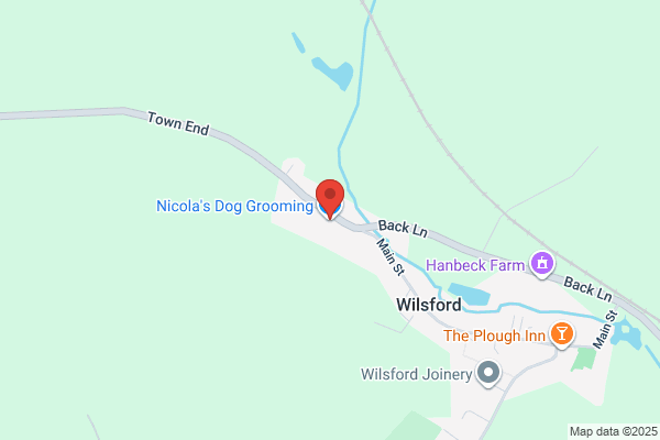 Nicola's Dog Grooming