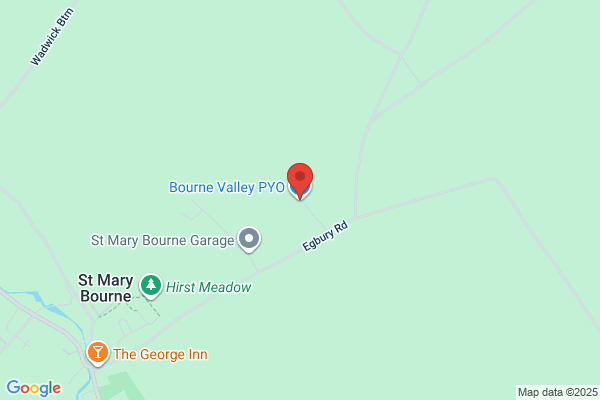 Bourne Valley Pyo