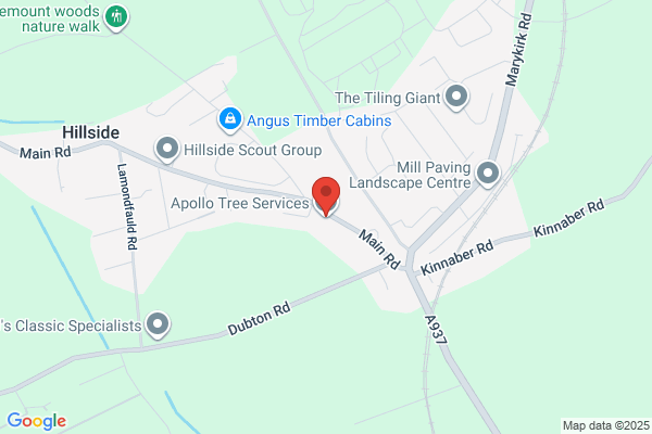 Apollo Tree Services