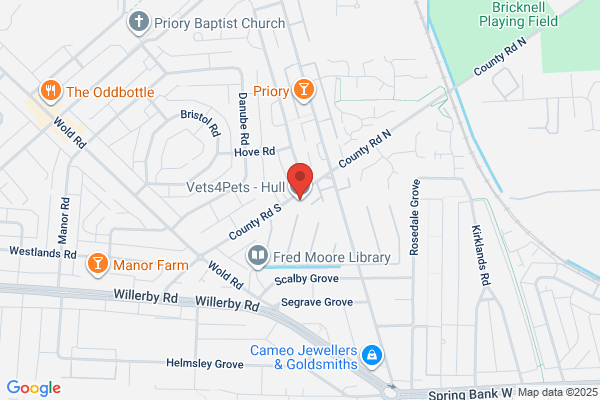 Vets4Pets - Hull