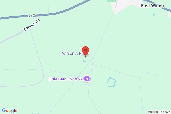 Wilson Hogg Ltd