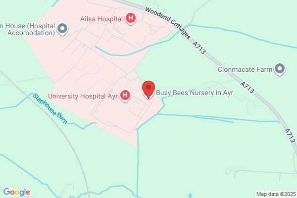 Busy Bees in Ayr