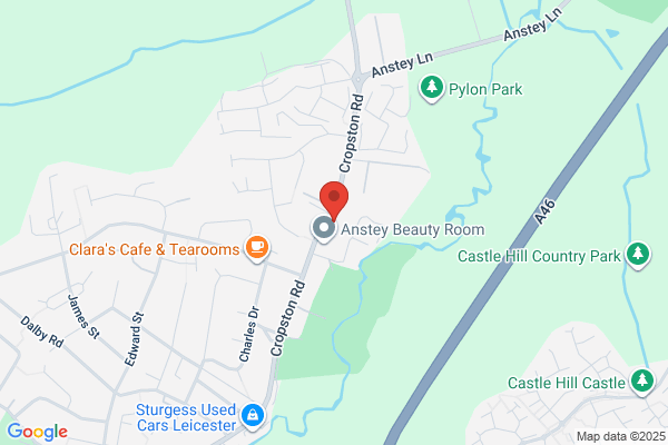 Anstey Cattery