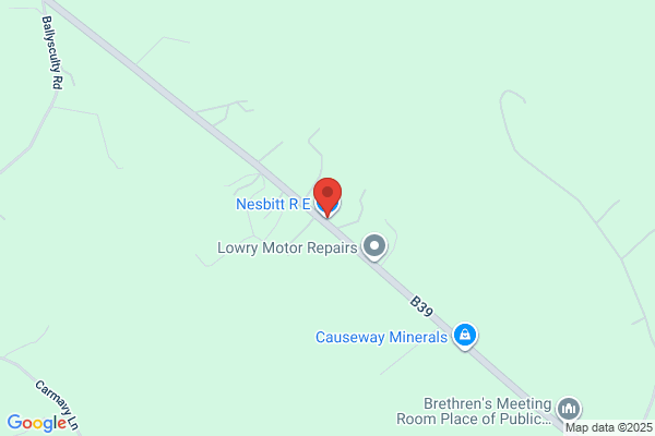 R E Nesbitt