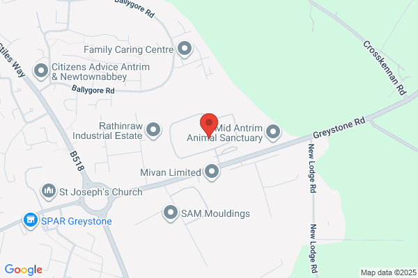 Robinson Cleaning & Support Services Ltd