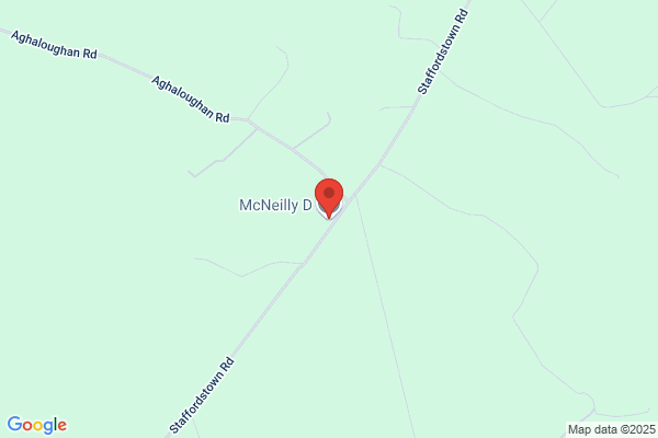 D McNeilly