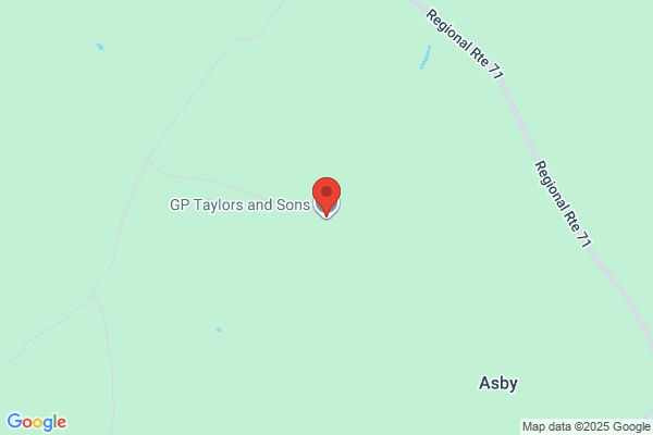 G P Taylor