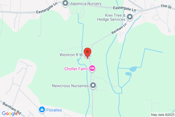 Weston & Co