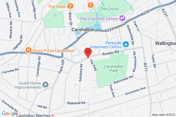London Event Plant Hire