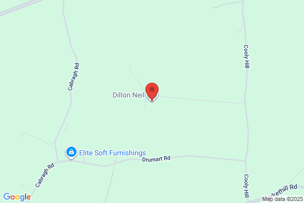 J H Dillon