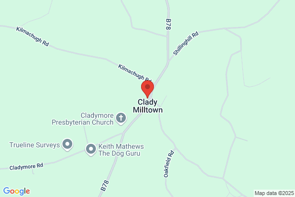 W J McMullan