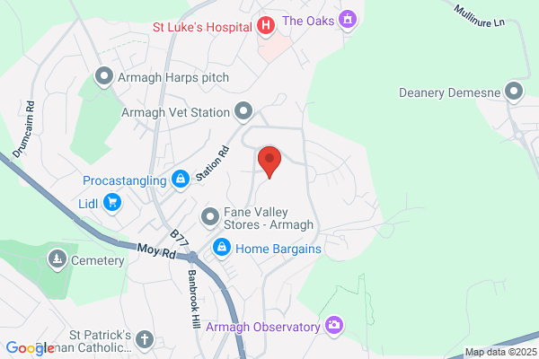 City Of Armagh High School