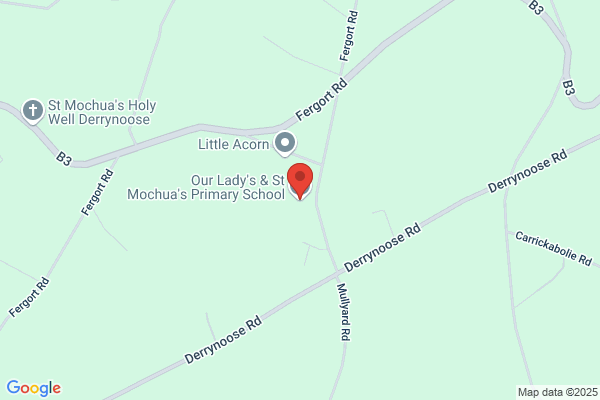 St Mochuas Primary School